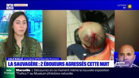 Marseille: deux éboueurs agressés dans le quartier de la Sauvagère