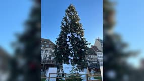 Le sapin de Noël de Strasbourg en novembre 2024.