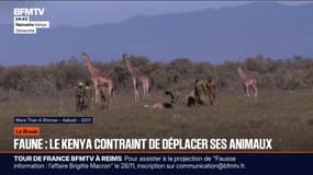 Le break du mardi 18 novembre