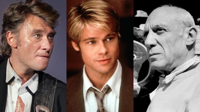 Johnny Hallyday, Pablo Picasso et Brad Pitt sont cités par les candidats à la présidentielles, interrogés par le JDD sur leurs goûts culturels.