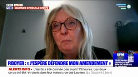 Réforme des retraites: la députée Renaissance des Hautes-Alpes Pascale Boyer dénonce une "obstruction" et craint de ne pas pouvoir défendre son amendement