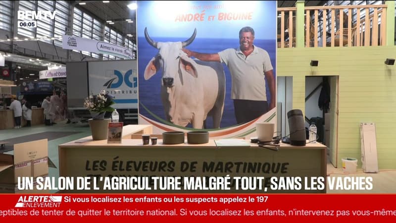 Pour la première fois en 62 éditions, le Salon de l'Agriculture ouvre ses portes sans vaches