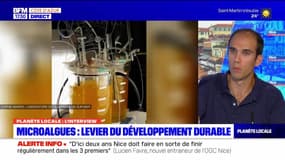 Planète locale Azur : Microalgues, levier du développement durable