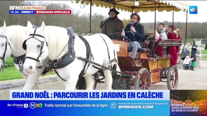 Vaux-le-Vicomte: parcourir les jardins en calèche