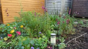 Un jardin