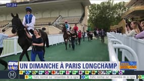 Paris Découverte : Direction l'hippodrome de Longchamp