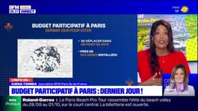 Paris: dernier jour ce mardi pour voter au budget participatif