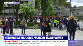Hommage à l'adolescente tuée à Ivry: une "marche jaune" contre la violence entre jeunes