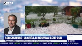 Agriculture: nouveau coup dur avec l'épisode de grêle