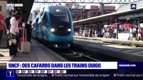 Gare Lyon Perrache: les syndicats dénoncent des conditions de voyage insalubres dans les trains Ouigo