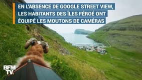 Avec un peu d'humour et quelques moutons, les Îles Féroé défient Google