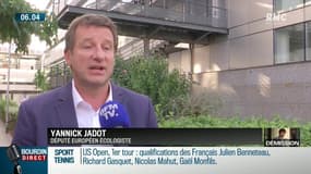 "L'enjeu n'est pas le remplacement de Hulot, mais de savoir si Macron va abandonner les lobbies"
