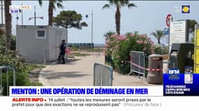 Menton: l'obus datant de la Seconde Guerre mondiale découvert en mer a été détruit