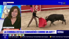 Une militante anti-corrida affirme que "c'est l'art de la cruauté"