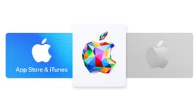 Les diverses cartes-cadeaux proposées par Apple