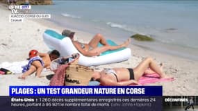 Bronzer est à nouveau autorisé sur la quasi-totalité des plages de Corse