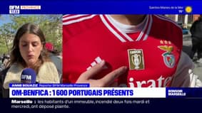 OM-Benfica: les 1.600 supporters portugais présents à Marseille