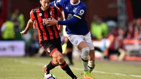 Harry Arter