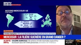 Accord UE-Mercosur: Christian Spiegeleer, PDG du syndicat national des fabricants de sucre de France, explique que “cette procédure de sauvegarde aboutit à une protection qui intervient toujours trop tard” 