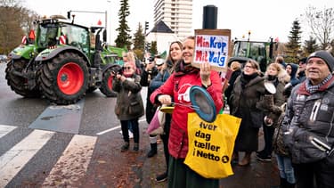 Manifestation contre la décision d'abattre les millions de visons - 14 novembre 2020 -