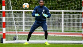 Steve Mandanda est redevenu l'un des tauliers des Bleus