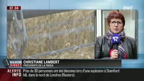 Baisse du budget de l'agriculture de l'UE: "C'est inadmissible" 