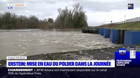 Bas-Rhin: le polder d'Erstein va être submergé pour recharger la nappe phréatique