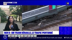 RER B: un train déraille, le trafic perturbé