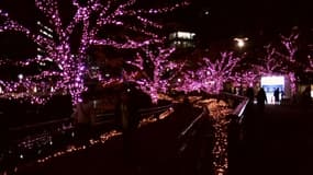 À Tokyo, de l'huile de cuisson alimente les illuminations de Noël