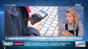 L'assurance à la demande veut se faire une place - Dupin Quotidien