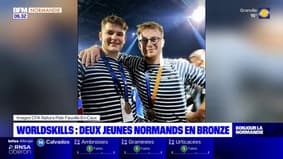 Deux Normands récompensés aux Worldskills à Lyon