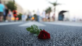 Image d'illustration - Une rose sur la promenade des Anglais, après la commémoration pour les victimes le 14 juillet 2017