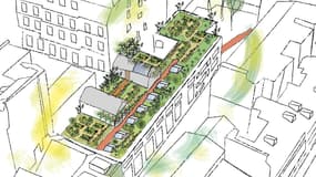 Croquis du projet de toiture-terrasse pour la floriculture, au cœur de la villa du Lavoir à Paris