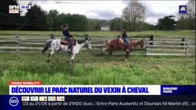 Paris Mobility : On a testé la randonnée à cheval dans le Vexin !