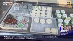 Arvieux: découverte des fromages de chèvre