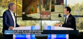 Quel rôle joue la flore intestinale dans la tolérance à l'alcool ? – 23/01