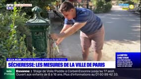 Sécheresse: les mesures de la Ville de Paris