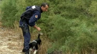 Policier d'une équipe cynophile, mardi, près de Perpignan.