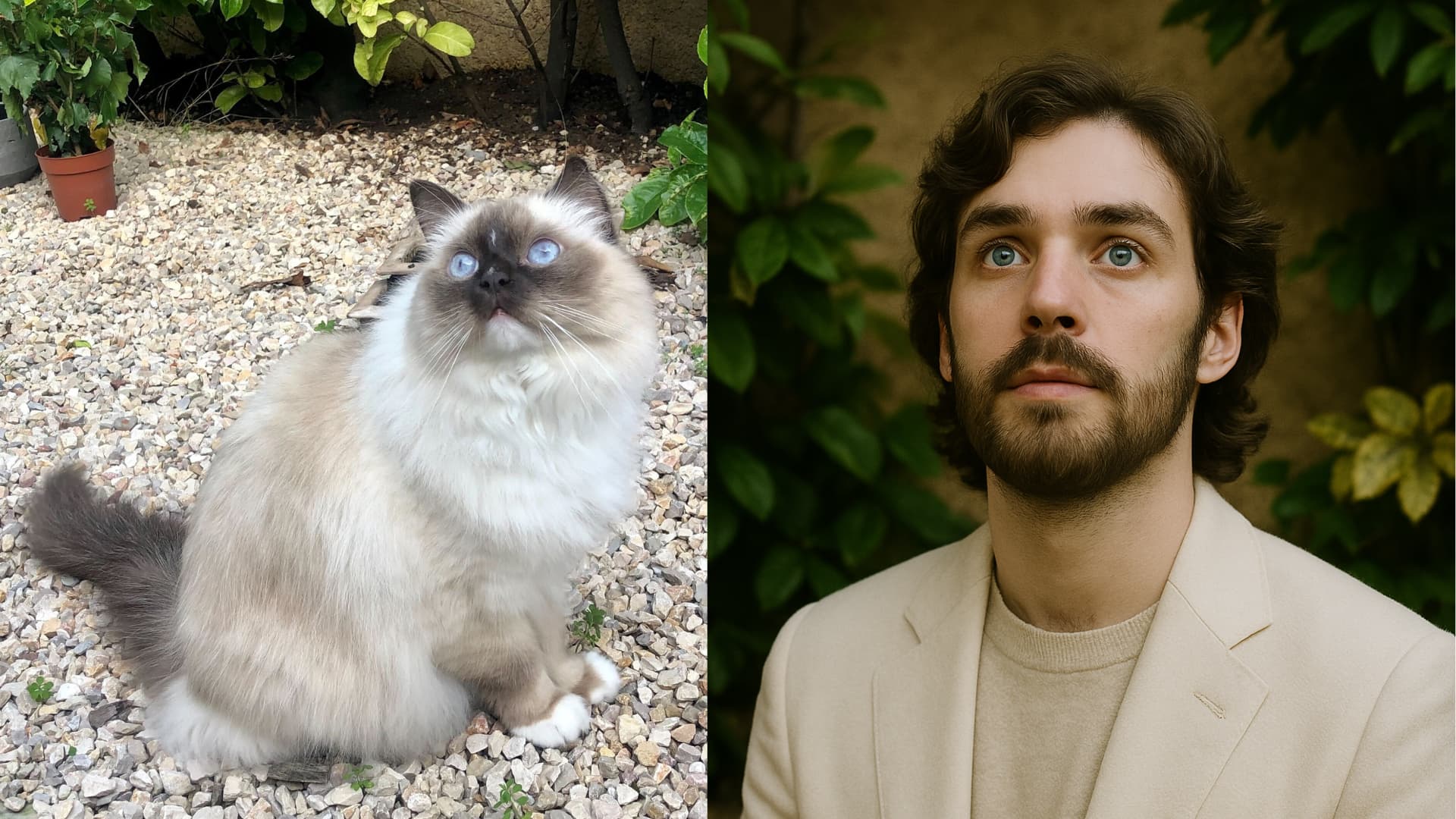 Image d'un chat et sa version humaine générée par ChatGPT.