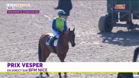 Courses hippiques: revivez le Prix Vesper R4C6 à l'hippodrome de Cagnes-sur-Mer