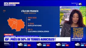 Ile-de-France: près de 50% de terres agricoles