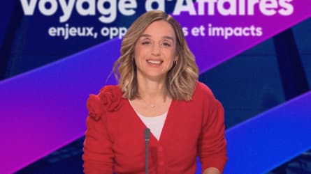 Voyage d'Affaires