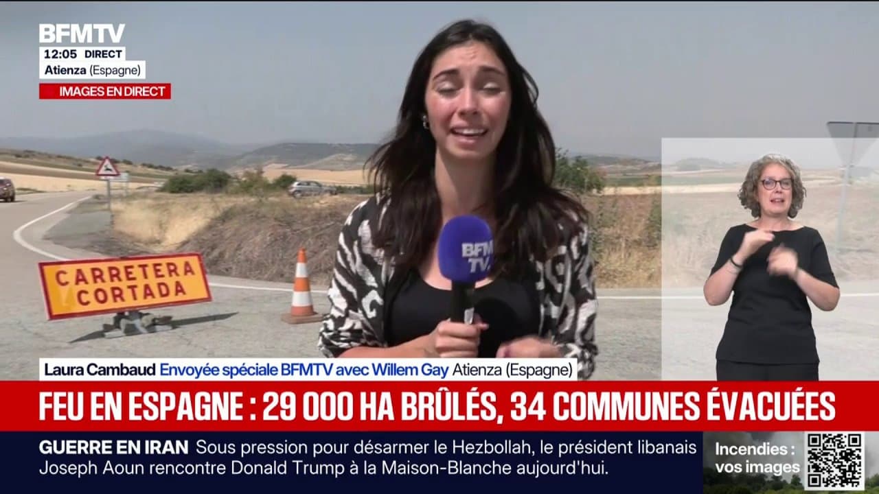 İspanya'da Yangın: 29.000 Hektar Küle Döndü
