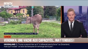 Le break du jeudi 22 janvier