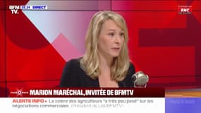 Marion Maréchal (Reconquête), à propos de l'interpellation d'agriculteurs à Rungis: "La mise en garde à vue me semble excessive"