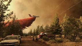 L'incendie de Grandview près de Sisters, dans l'Oregon, aux Etats-Unis, le 11 juillet 2021.
