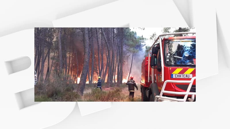 Incendie dans le Maine-et-Loire: 650 hectares brûlés, plus de 300 pompiers mobilisés