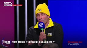 FORUM BFM - Agriculture: "Je dois 28.000 euros de l'an dernier, je n'arriverai pas à le spayer", confie Hubert, agriculteur qui se dit "dans le rouge"