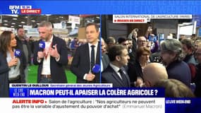 "Si on continue comme ça, dans deux, trois ans, la filière noisettes n'existe plus": le secrétaire général des Jeunes Agriculteurs tire la sonnette d'alarme