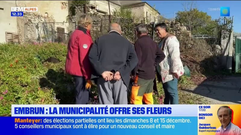 Hautes-Alpes: la ville d'Embrun offre ses fleurs aux habitants